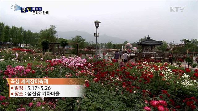 이주의 문화가 산책