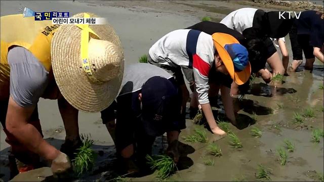 "쌀 소중함 알았어요"···초등생 모내기 체험