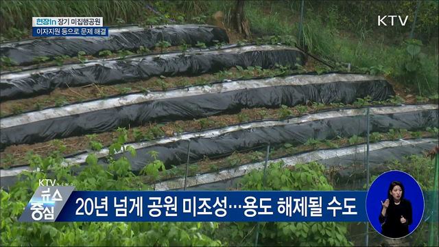 장기 미집행공원 해제 임박···대책은? [현장in]