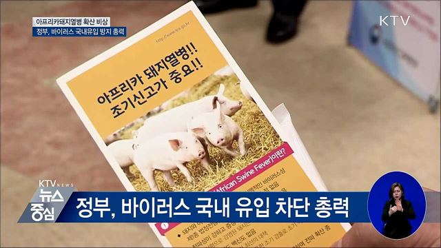 北 아프리카돼지열병 발병···국내유입 방지 총력