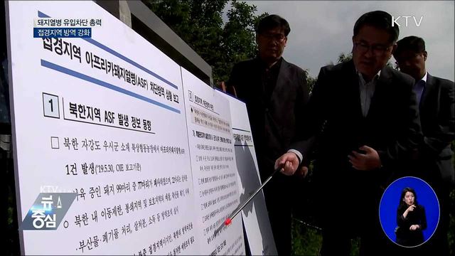 돼지열병 유입차단 총력···접경지역 방역 강화