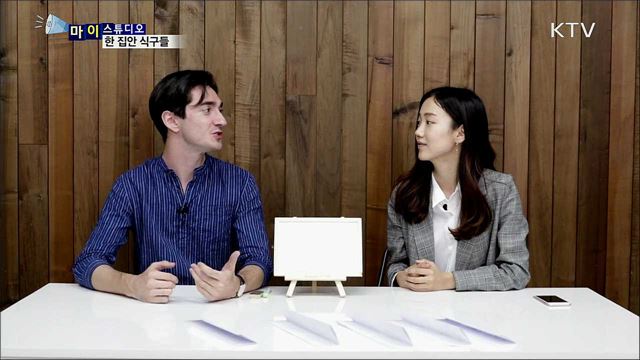 한 집안 식구들 [마이스튜디오]