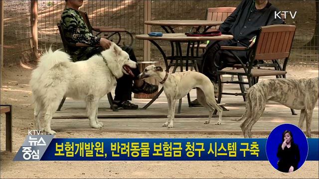 보험개발원, 반려동물 보험금 청구 시스템 구축