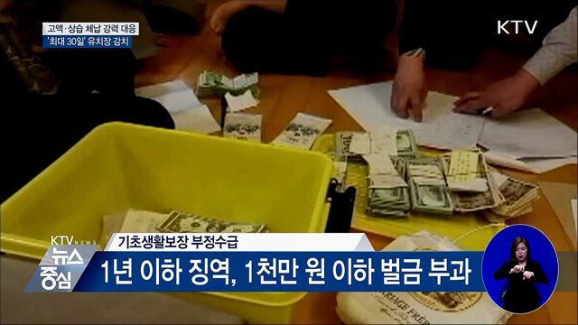 고액·상습 체납자 '최대 30일' 유치장에 가둔다