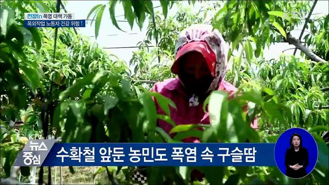 옥외작업 노동자 건강위험↑···폭염 대책 가동