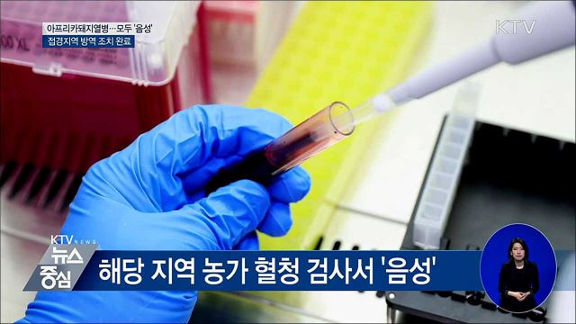 아프리카돼지열병 긴급 방역···"감염 농가 없어"