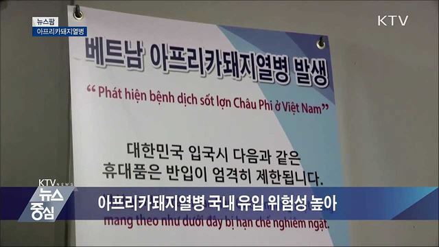 아프리카돼지열병 [뉴스팜]