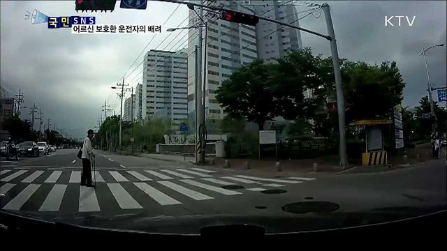 횡단보도 느릿느릿 건너는 어르신 배려