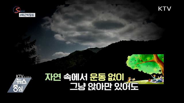 자연에서 두시간이면 힐링 끝 [S&News]