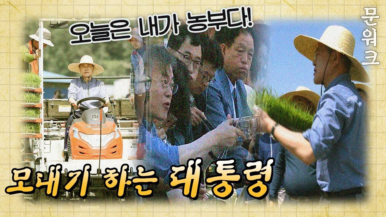 경주 옥산마을 모내기 현장 찾아 직접 농부가 되어본 문재인 대통령의 땀뻘뻘 하루 풀스토리