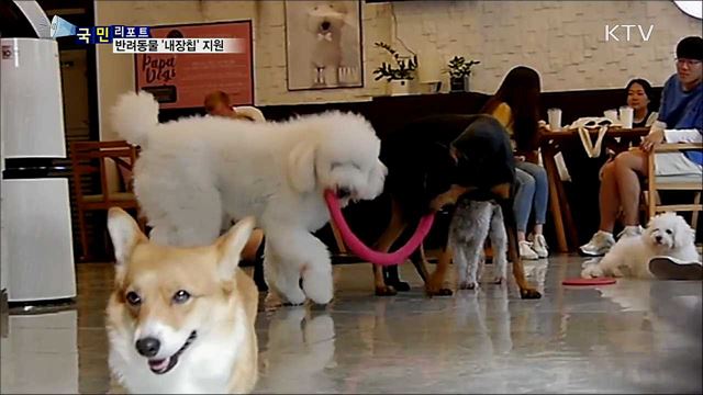 반려동물 '내장형칩'···만 원에 등록하세요