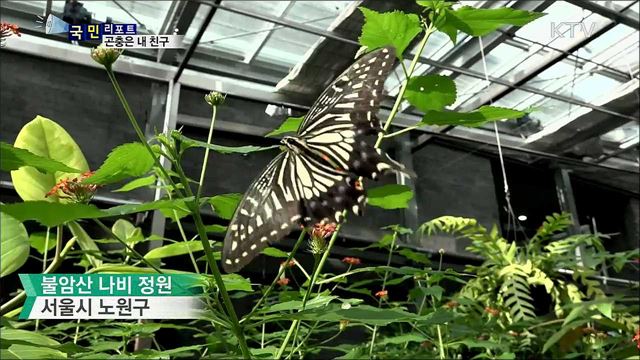 곤충 내 친구···사회성·창의력 쑥쑥 키워요 