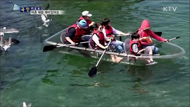 고기 잡고 카누 타고···장호 어촌 체험 마을 인기 