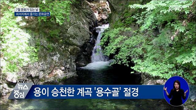 본격 휴가철···피서지에서 즐기는 '문화가 있는 날'