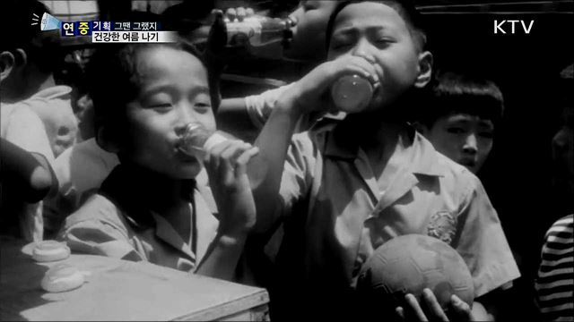 연기 방역차에 모기장···건강한 여름 나기