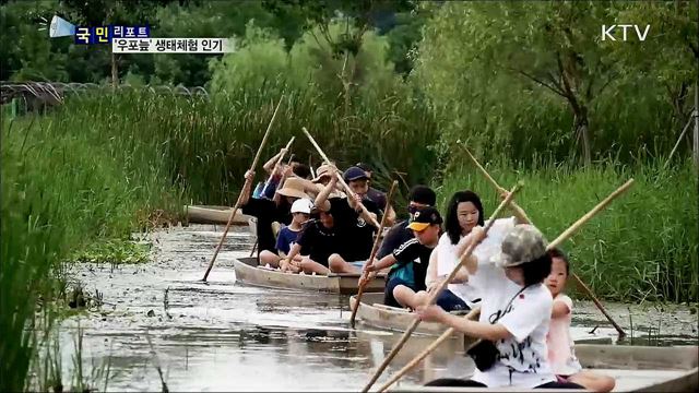 국내 최고의 생태관광 '우포늪' 체험 인기