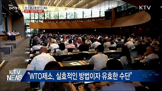 日 수출규제 WTO 제소···"실효적 대응"