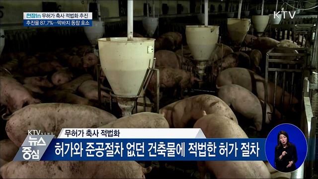 무허가 축사 '제로화'···적법화 절차 착착 [현장in]