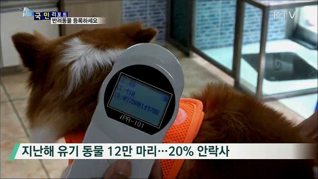 반려동물 등록하세요···미등록  9월부터 과태료