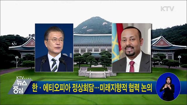한·에티오피아 정상회담···미래지향적 협력 논의