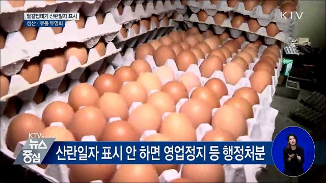 달걀 껍데기 산란일자 표시 의무화