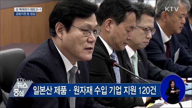 日 백색국가 제외 D-1···금융지원 등 점검