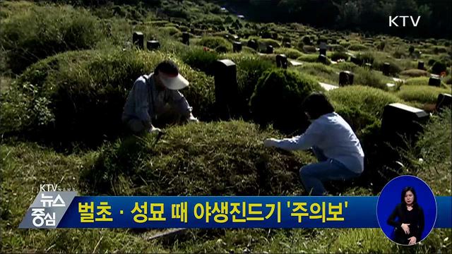 벌초·성묘 때 야생진드기 '주의보'