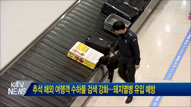 추석 해외 여행객 수하물 검색 강화···돼지열병 유입 예방