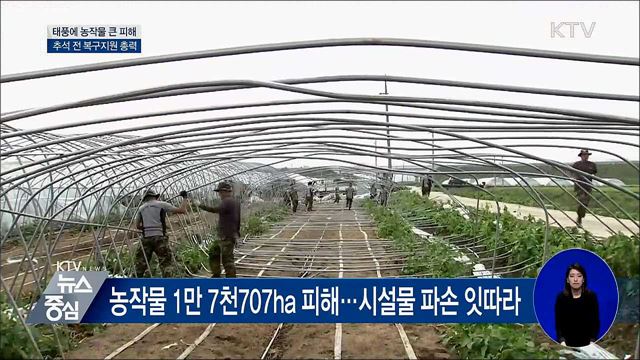 태풍에 농작물 큰 피해···추석 전 복구지원
