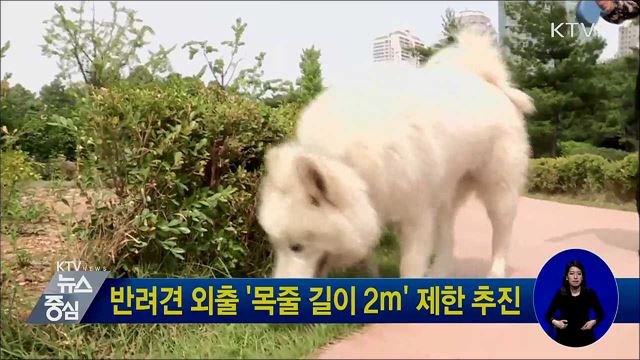 반려견 외출 '목줄 길이 2ｍ' 제한 추진