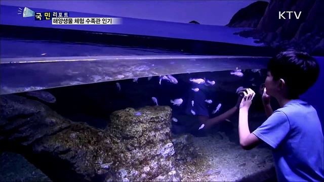 해양생물 만지고 느껴보는 체험 수족관  