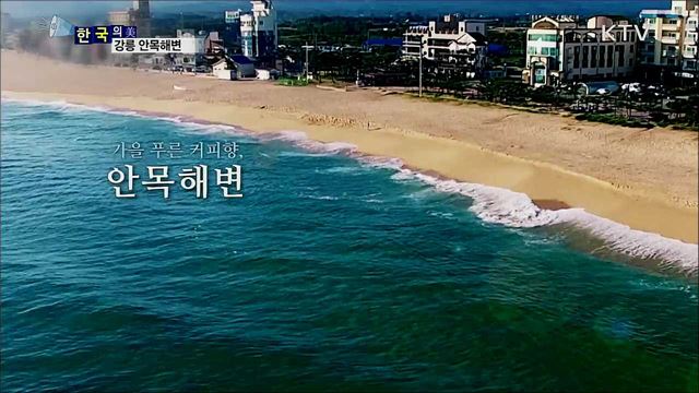 강릉 안목해변 [한국의 美]