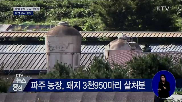 출입 통제·긴급 살처분···확산 방지 '총력'