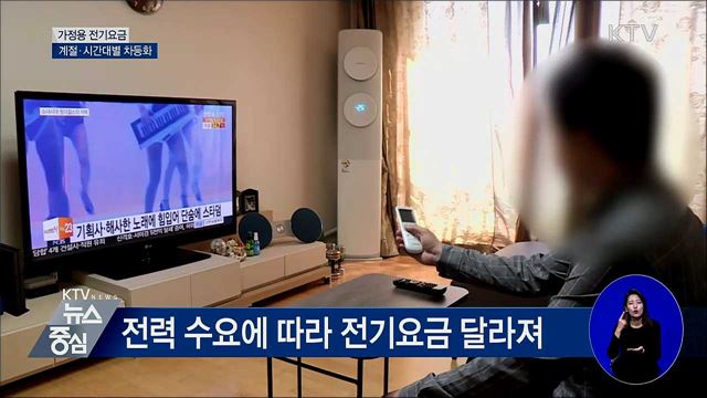 가정용 전기요금 계절·시간대별 차등화