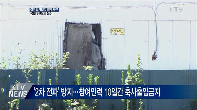 강화서 아프리카돼지열병 확진···'국내 9건'