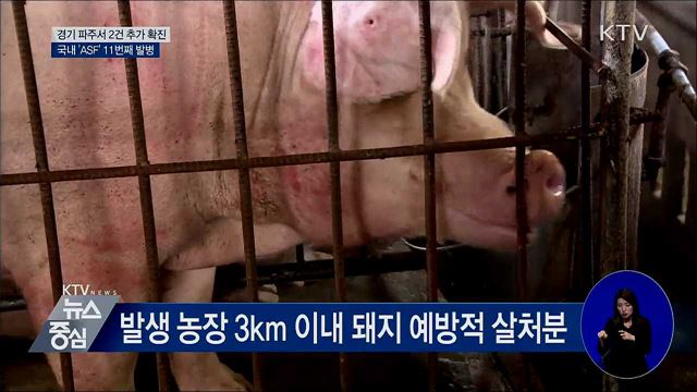 경기 파주서 2건 추가 확진···11번째 발병