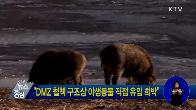"DMZ 철책 구조상 야생동물 직접 유입 희박"