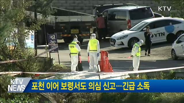포천 이어 보령서도 의심 신고···긴급 소독