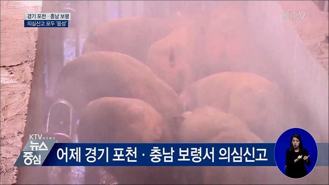 KTV 뉴스중심 (313회)