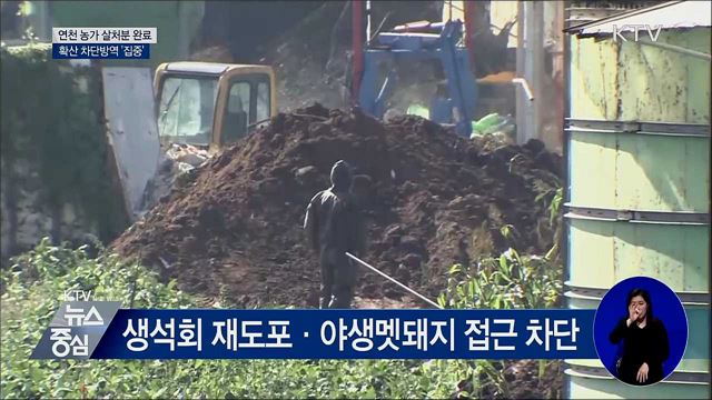연천 농가 살처분 완료···확산 차단방역 '집중'