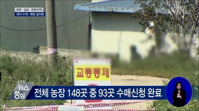 파주·김포·연천 잔여돼지 수매···예방 살처분