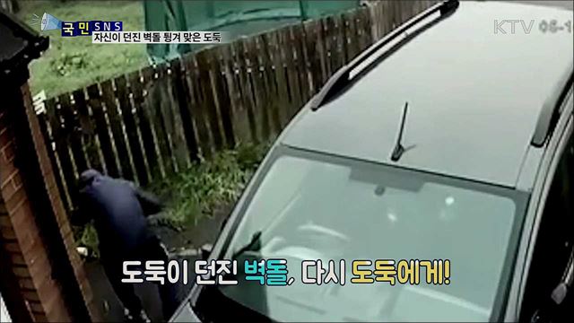 차에 던진 벽돌 튕겨···되레 얼굴 맞은 도둑