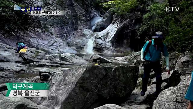 동해안 지질 대장정···'태고의 신비'에 감탄