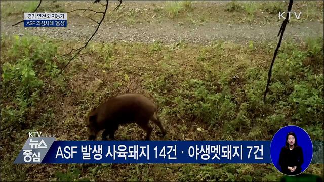 KTV 뉴스중심 (320회)