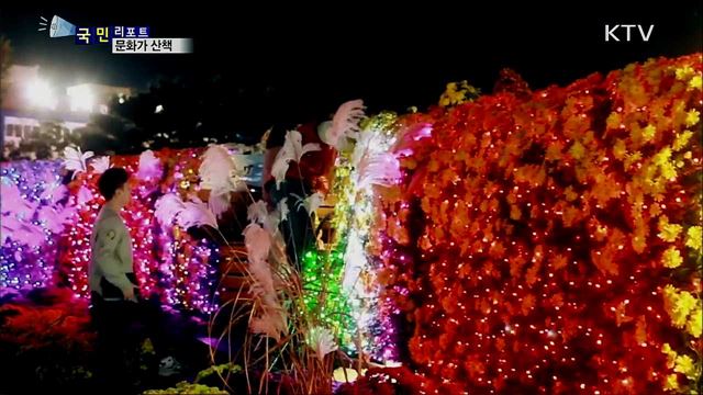 깊어가는 가을···이주의 문화가 산책