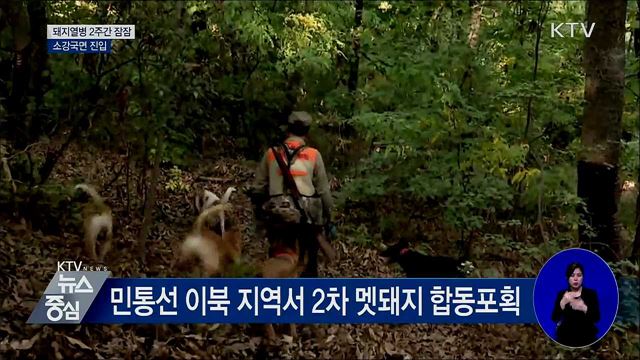 아프리카돼지열병 2주간 잠잠···소강국면 진입