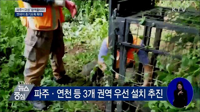 파주∼고성 광역울타리···멧돼지 총기포획 확대