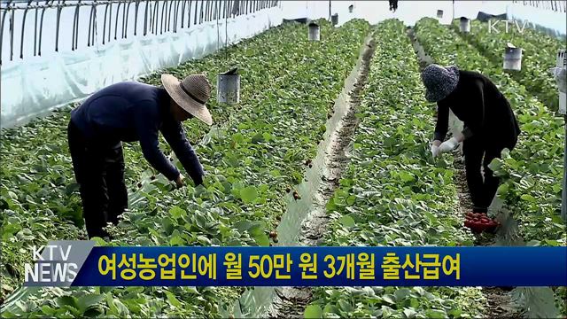 여성농업인에 월 50만 원 3개월 출산급여