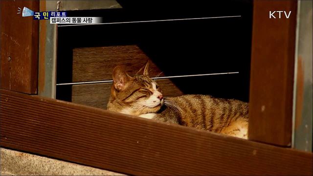 반려동물 돌보는 청춘···캠퍼스의 동물 사랑