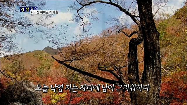 지리산 피아골의 가을 [한국의 美]